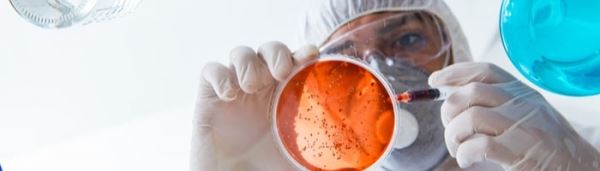 Ученые НИТУ «МИСиС» создали материал для имплантатов, уничтожающий до 98% бактерий
