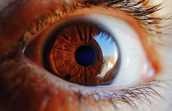 <br />
Лекарство от цистита разрушает сетчатку глаза<br />
